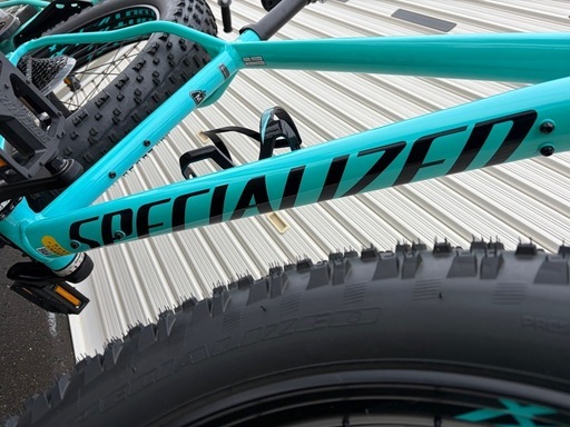 2019 Specialized・FAT BOY➕α