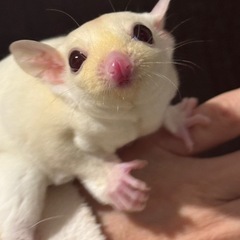 カラー検証中につき