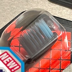 【新品】デンタルプロ ブラックダイヤDS22 ふつうの画像