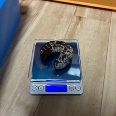 ヘラクレスリッキー　幼虫の画像