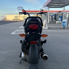 HONDA navi110  バイク　スクーターの画像