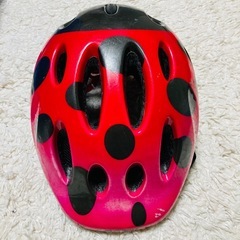 【LAZER】　子供用　キッズ　ジュニア　自転車　ヘルメット　てんとう虫の画像