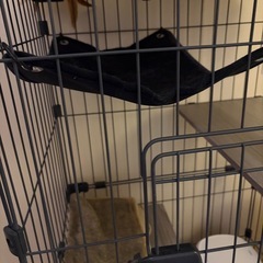 アイリスオーヤマ　ハンモック付きミニキャットケージの画像