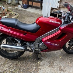 実働zzr250パワフィル化の画像