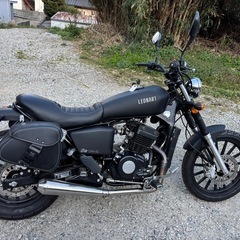 レオンアートヘリテイジ125 低走行　小型ミッション　原付2種　サイドバック付きの画像