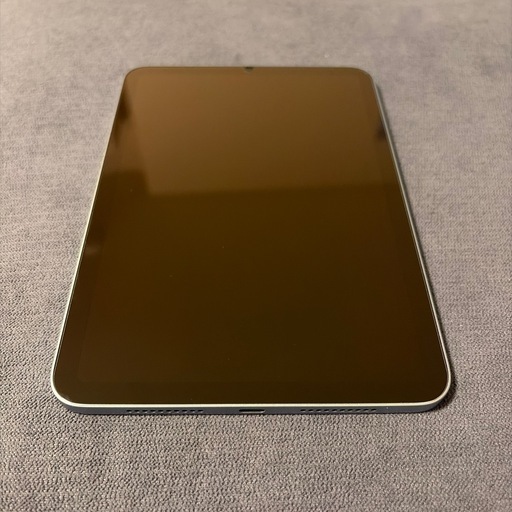 iPad mini A17  Wi-Fi 256GB ブルー　バッテリー最大容量100%