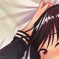 抱き枕本体＋抱き枕カバー　160×50の画像