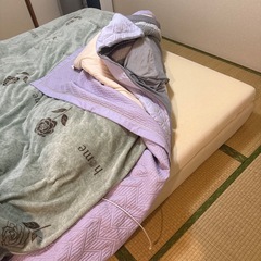 クインマットレスの画像