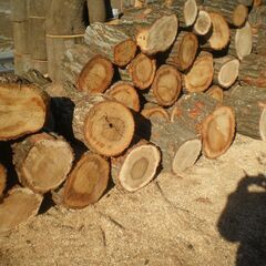 【丸太☆大変お得☆広葉樹☆】 ★0317の画像