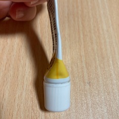 乳糖保護ピュアレーンの画像