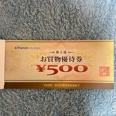 株式会社ヤマダHDの株主優待券 
500円×10枚=5,000円分の画像