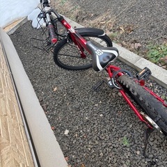 自転車　24インチ　小学生男子の画像