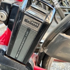 ヤマハPasNaturaの画像