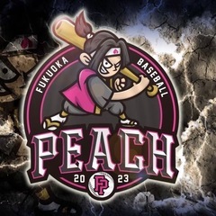 草野球の試合体験参加募集 - スポーツ