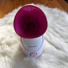 スチーマー美顔器の画像