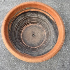 ガーデニングテラコッタ鉢の画像