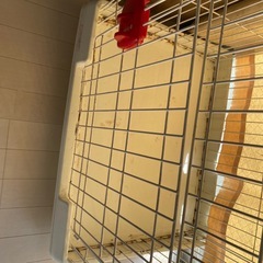 ペットケージの画像