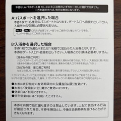 ★ナガシマスパーランド　パスポート券2名分の画像