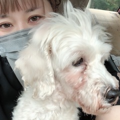 お話し相手・1人で行きづらい場所に一緒に行きます☺️