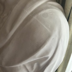 石膏像ブルータス（ある程度の値下げ受け付けます）の画像