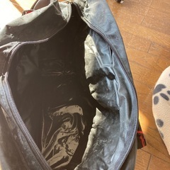 キャスター付きキャリーバック
の画像