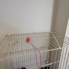 キャットゲージの画像