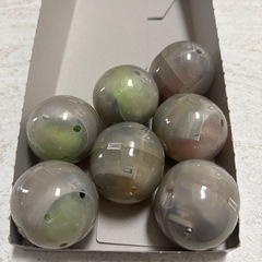 たまごっち　手作りおやつチャーム　平成女児チョコの画像