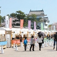 名古屋城春祭り屋台受付募集の画像