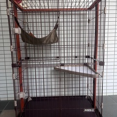 😸🐱キャットゲージ🐱😸の画像