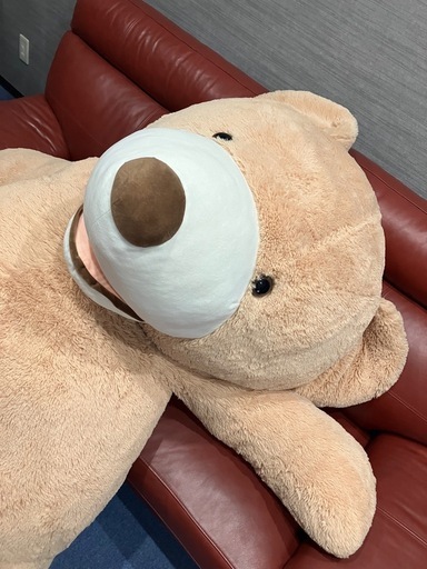 コストコ クマのぬいぐるみ
