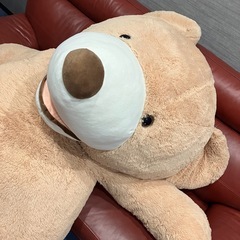 コストコ クマのぬいぐるみ   の画像