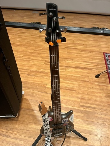 楽器 Ibanez SDGR