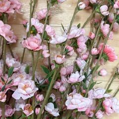 造花  桜  の画像