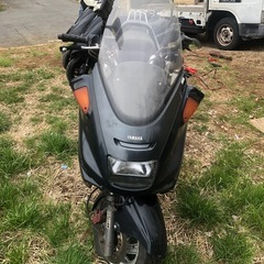 マジェスティ250不動(4HC)の画像