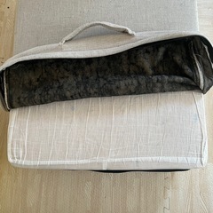 (３月22日引渡期限)トランポリンクッションの画像