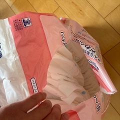 グーン　Sサイズの画像