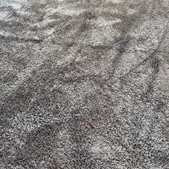 洗えるカーペットの画像