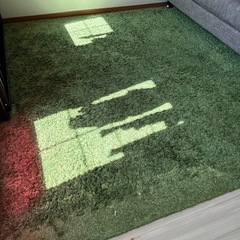ニトリ カーペット 緑  292×202無料の画像