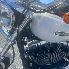 ハーレーダビットソンXL1200美車
の画像