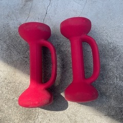 BE BEAUTY BODYダンベルの画像