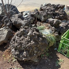 溶岩石あげますの画像