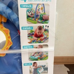 フィッシャープライス　ベビージムの画像