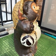 たぬき　大の画像