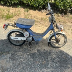 スージー当時ものの画像