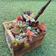 ハンドメイドと多肉のセットの画像