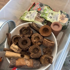 カブトムシ クワガタ 飼育セット 止まり木 飼育ケース 昆虫ゼリー くぬぎマットの画像