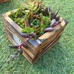 ハンドメイドと多肉のセットの画像