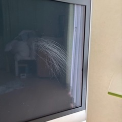 Panasonicビエラ42型テレビ日本製の画像