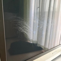 Panasonicビエラ42型テレビ日本製の画像