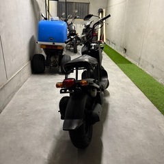 ホンダズーマーの画像